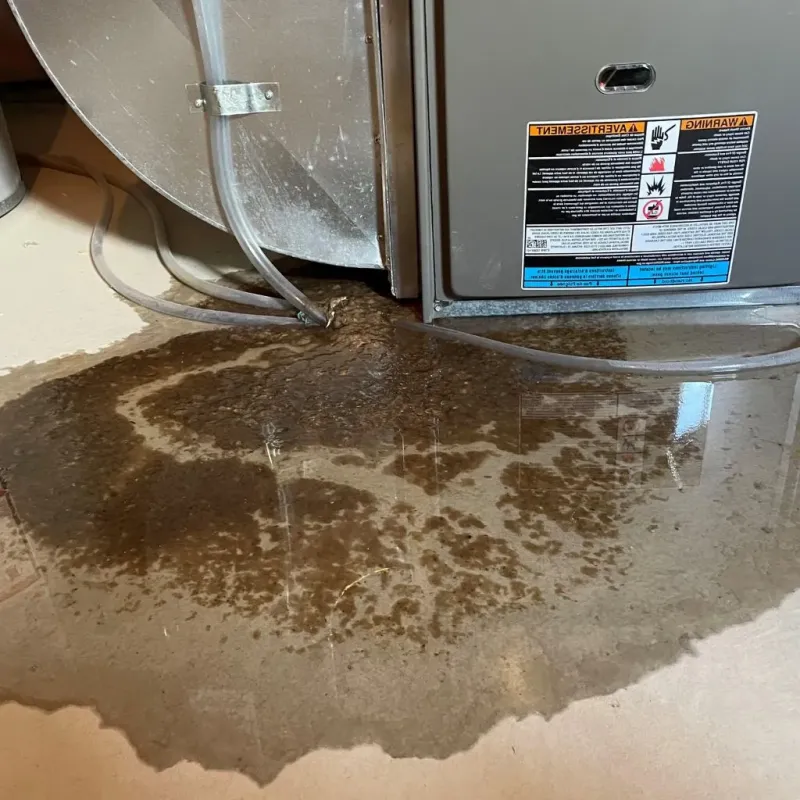 Pipe Burst and Leak Restoration in Versailles, KY
