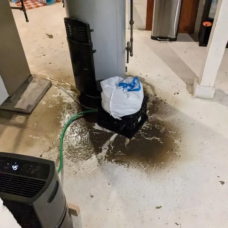 Sewage Backup Cleanup Service in Versailles, KY